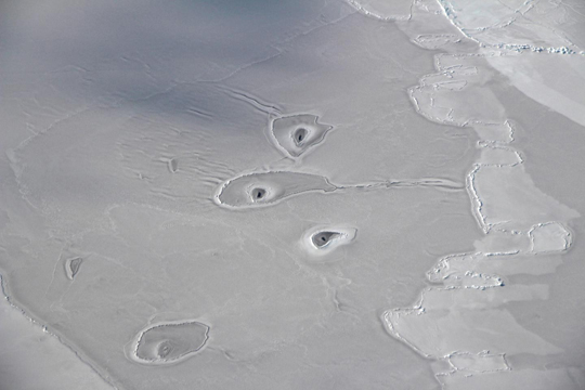 НАСА обнаружило необычные отверстия во льду Арктики