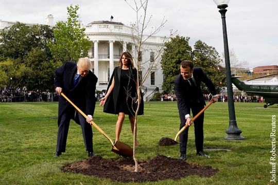 Трамп и Макрон посадили дуб