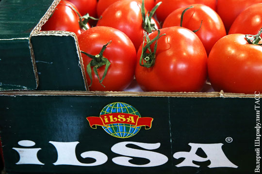 Названа дата возобновления импорта турецких томатов