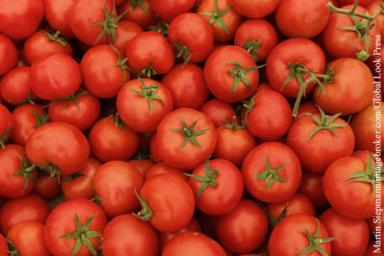 Россия сняла ограничение на число поставщиков томатов из Турции