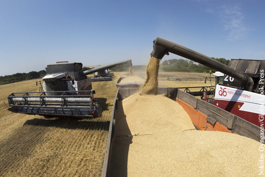 Россия бьет и Европу, и США на мировом рынке зерна