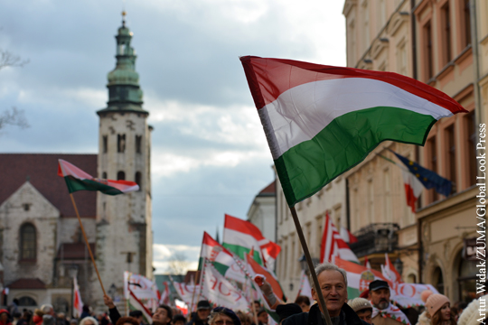 Будапешт призвал НАТО защитить венгров от властей Украины