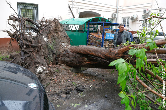 Из-за сильного ветра в Москве пострадали шесть человек, в том числе двое детей