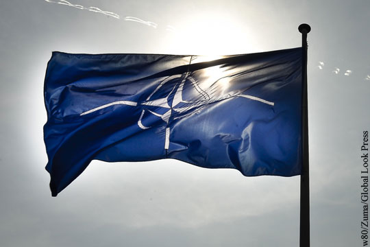 В НАТО отреагировали на планы Украины попасть в альянс