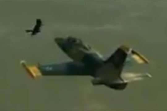Видеоролик показал, как курсант спас самолет после ЧП при взлете