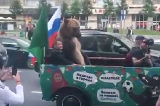 На Тверской улице в Москве вместе с болельщиками гуляет медведь