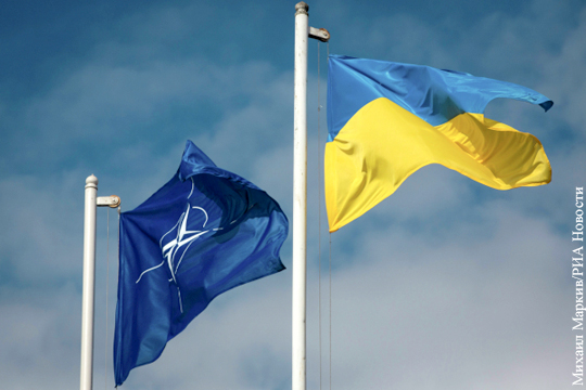 Украине показали реальные перспективы по поводу вступления в НАТО