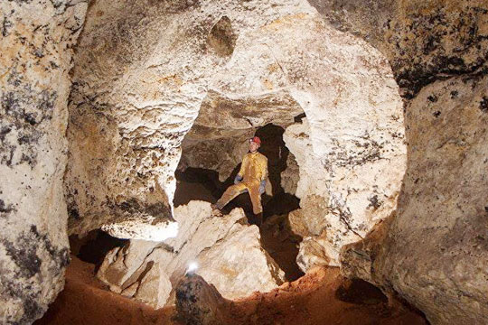 Пещера с мамонтом остановила строительство трассы «Таврида» в Крыму