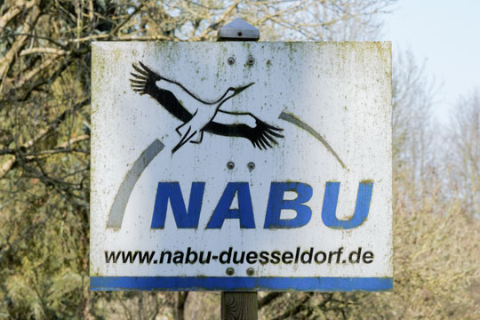 Конституционный суд Германии отверг жалобу экологов на «Северный поток – 2»