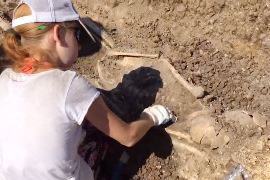 Находка в Крыму поставила перед археологами «страшную задачу»