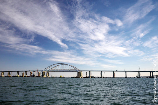 Крымский мост привлек дельфинов