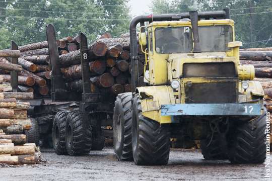 На Украине отменен мораторий на вывоз леса в ЕС