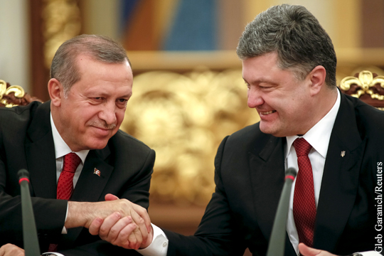 Эрдоган захотел стать посредником между Россией и Украиной