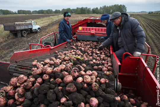 В Швеции оценили сельскохозяйственные успехи России