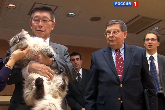 Подаренный Путиным кот стал «огромным» и научился понимать японский