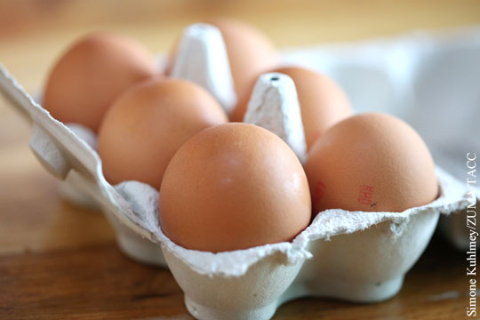 Союз защиты прав потребителей прокомментировал уменьшение числа яиц в упаковках