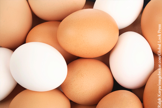 Фото куриного яйца стало самым популярным в Instagram