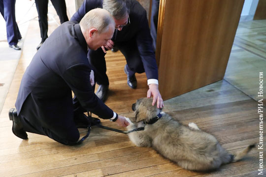 Вучич подарил Путину щенка Пашу