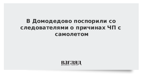 В Домодедово поспорили со следователями о причинах ЧП с самолетом