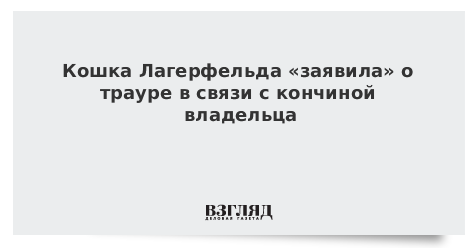 Кошка Лагерфельда «заявила» о трауре в связи с кончиной владельца
