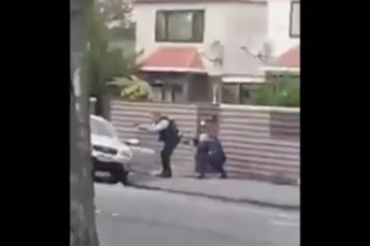 Опубликовано видео задержания одного из стрелков, устроивших бойню в мечетях в Новой Зеландии