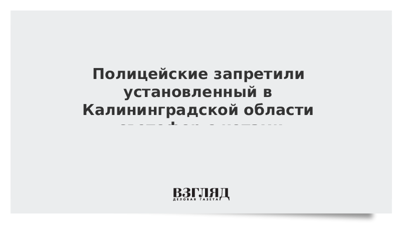 Полицейские запретили установленный в Калининградской области светофор с котами
