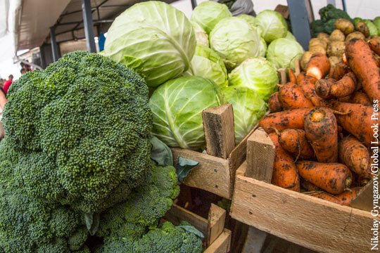 Россельхознадзор пригрозил запретить реэкспорт овощей из Белоруссии