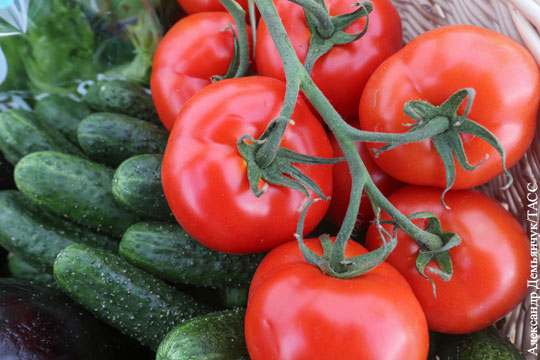 Белоруссия прекратила сертификацию санкционных овощей и фруктов