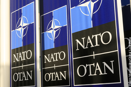 В Бундестаге призвали распустить НАТО