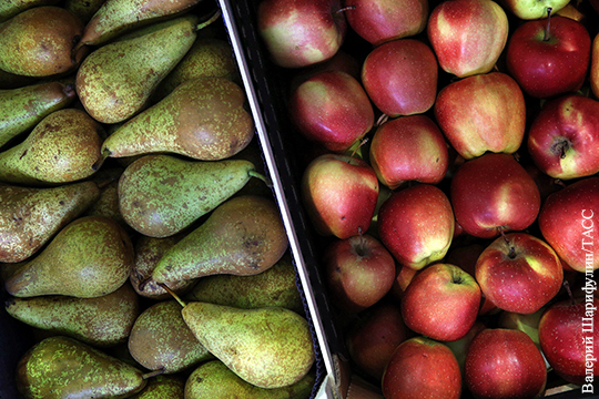 Россия запретила поставки яблок и груш из Белоруссии