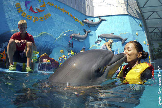 Почему в Кремле призывают запретить ловить косаток для дельфинариев?