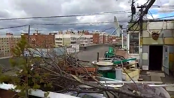 Коммунальщики в Екатеринбурге уничтожили устроенный пенсионером сад на крыше дома