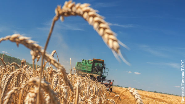 Сельское хозяйство стало одной из опор независимости России