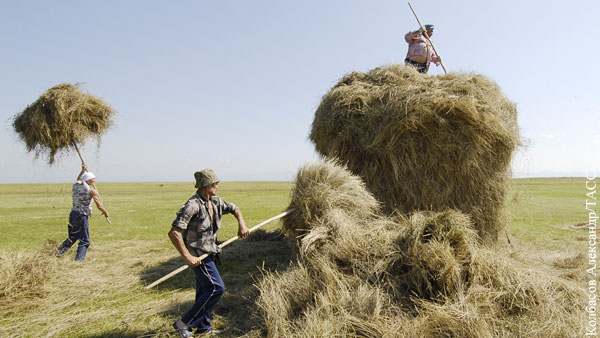 В России предупредили об угрозе сельскому хозяйству Украины