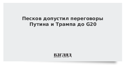 Песков допустил переговоры Путина и Трампа до G20