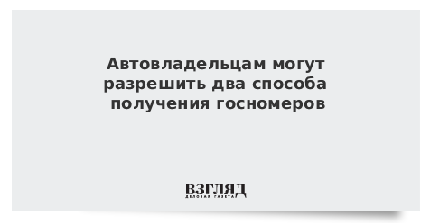 Автовладельцам могут разрешить два способа получения госномеров