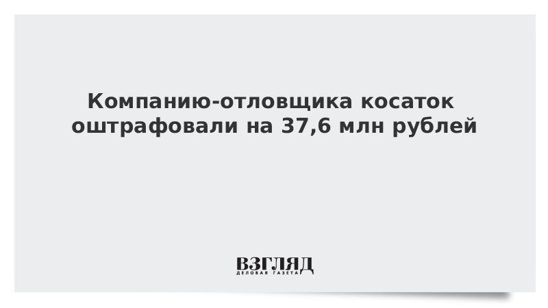 Компанию-отловщика косаток оштрафовали на 37,6 млн рублей