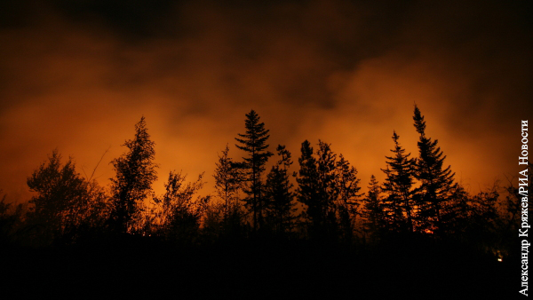 В Красноярском крае появилась система видеонаблюдения за лесными пожарами