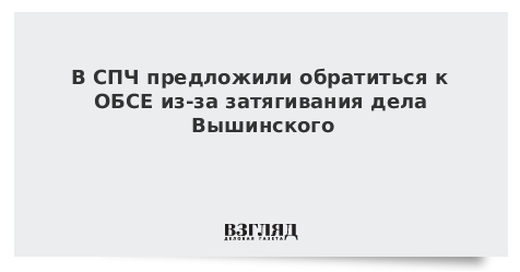 В СПЧ предложили обратиться к ОБСЕ из-за затягивания дела Вышинского