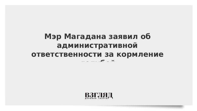 Мэр Магадана заявил об административной ответственности за кормление голубей