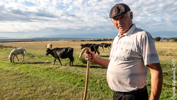 Грузинские фермеры попросили власти страны наладить отношения с Россией