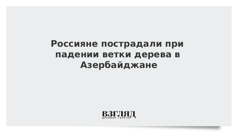 Россияне пострадали при падении ветки дерева в Азербайджане