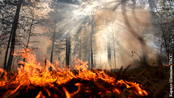 Почему не тушат лесные пожары в Сибири