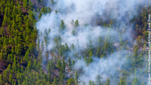 Площадь пожаров в красноярской тайге превысила 1 млн гектаров