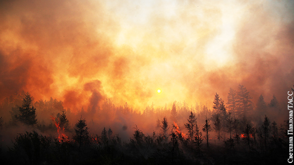 Лесные пожары в России охватили порядка 3 млн га