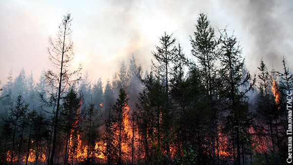 Кононенко раскритиковал блогеров за самопиар на лесных пожарах