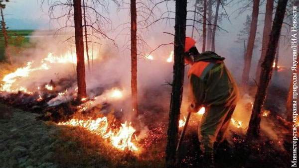 На тушение пожаров в Сибири потратят деньги Резервного фонда