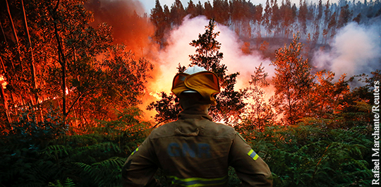 Какие леса в России охраняют от пожара?