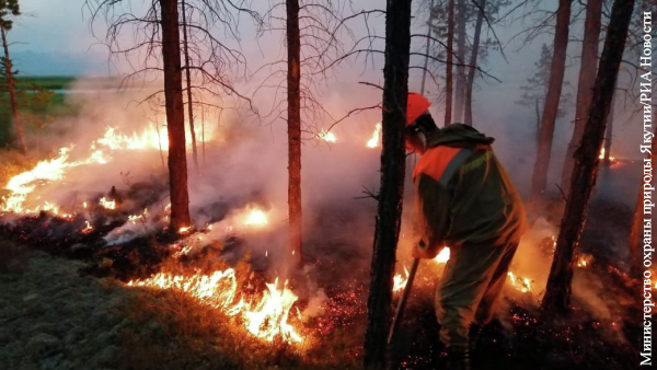 По факту пожаров в Сибири возбуждено дело против чиновников