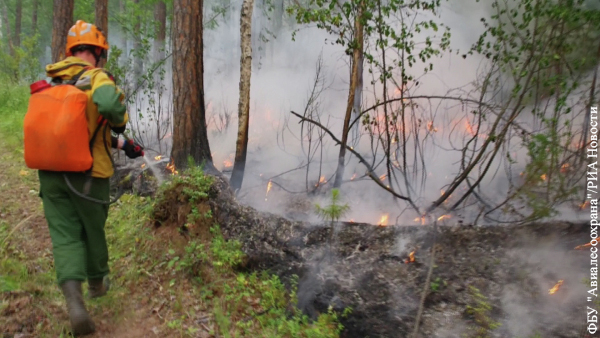 Площадь лесных пожаров в Сибири сократилась на четверть